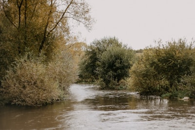 When the River Rises: Lessons from the Camp Mystic Flood Tragedy