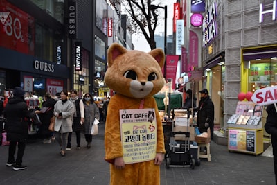 Japan’s Brown Bear Crisis: Why Hokkaido Issued Its First Highest-Level Bear Alert and What It Means for Locals and Travelers