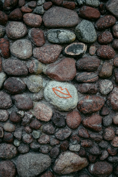 Murujuga Rock Art