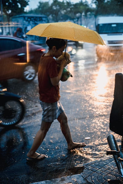 พยากรณ์อากาศวันนี้: รับมือฝนตกหนักปี 2568 ทั่วประเทศไทย – เตรียมตัวอย่างไรให้ปลอดภัย?