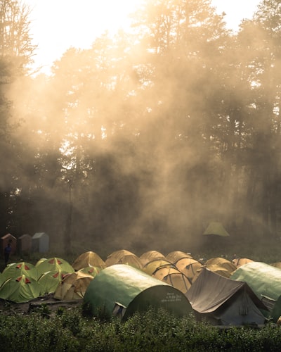 Tragedy, Grief, and Resilience: Reflections on the Camp Mystic Flood