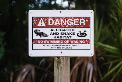 Florida Everglades Protest: The Controversy Over 'Alligator Alcatraz' and the Future of Wildlife Sanctuaries