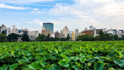 Growing Smarter: China and BrazilтАЩs AI Alliance for Sustainable Farming